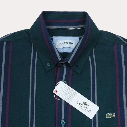 Lacoste Striped Elegance Shirt in Deep Teal with Vibrant Accents