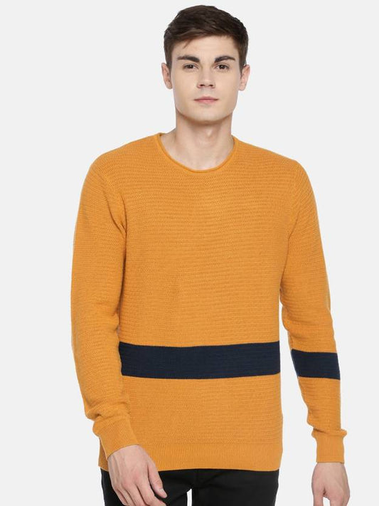 LEE Textured Knit Sweater with Contrast Stripe