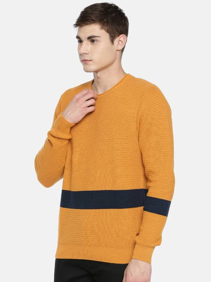 LEE Textured Knit Sweater with Contrast Stripe